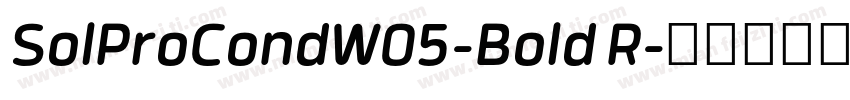 SolProCondW05-Bold R字体转换